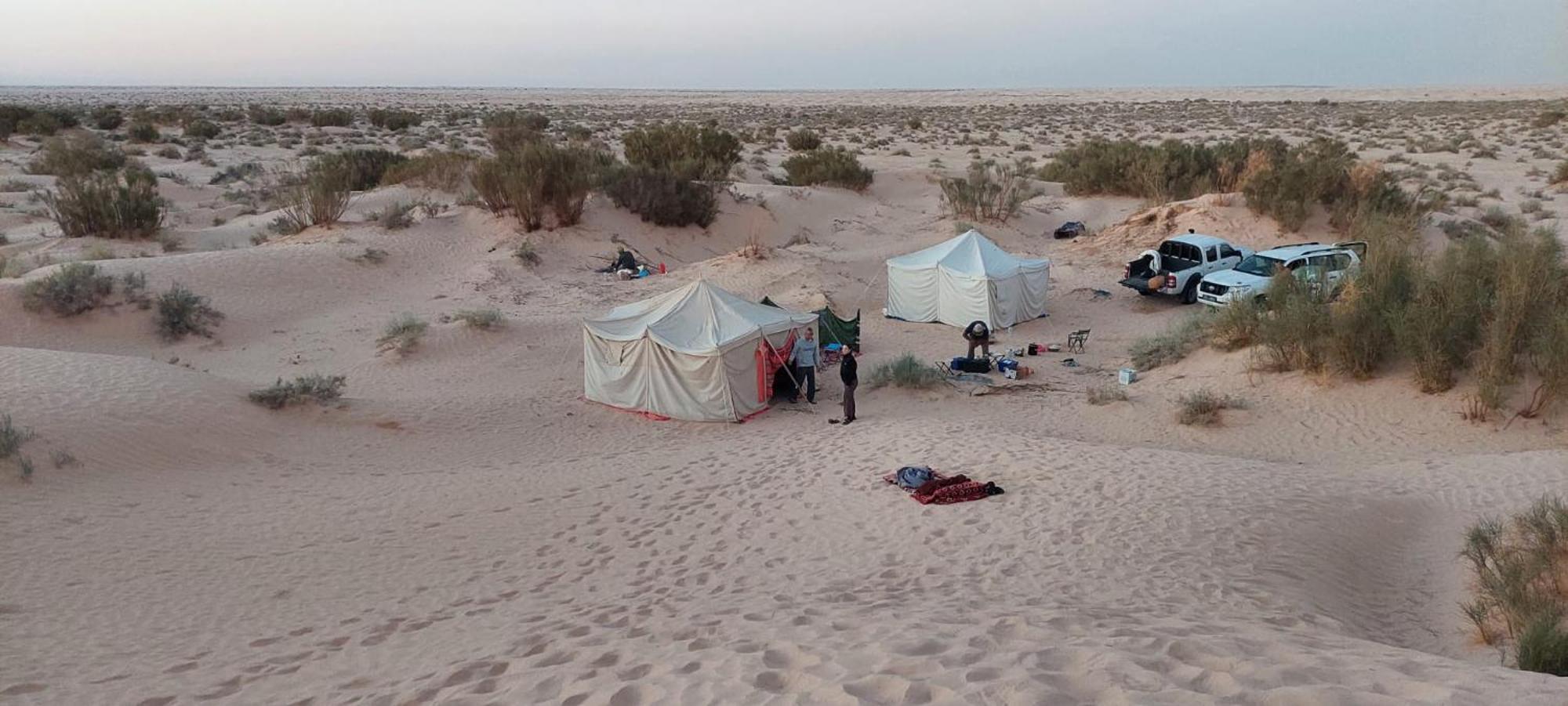 Hotel Private Camp25Km-From Douz Exterior foto